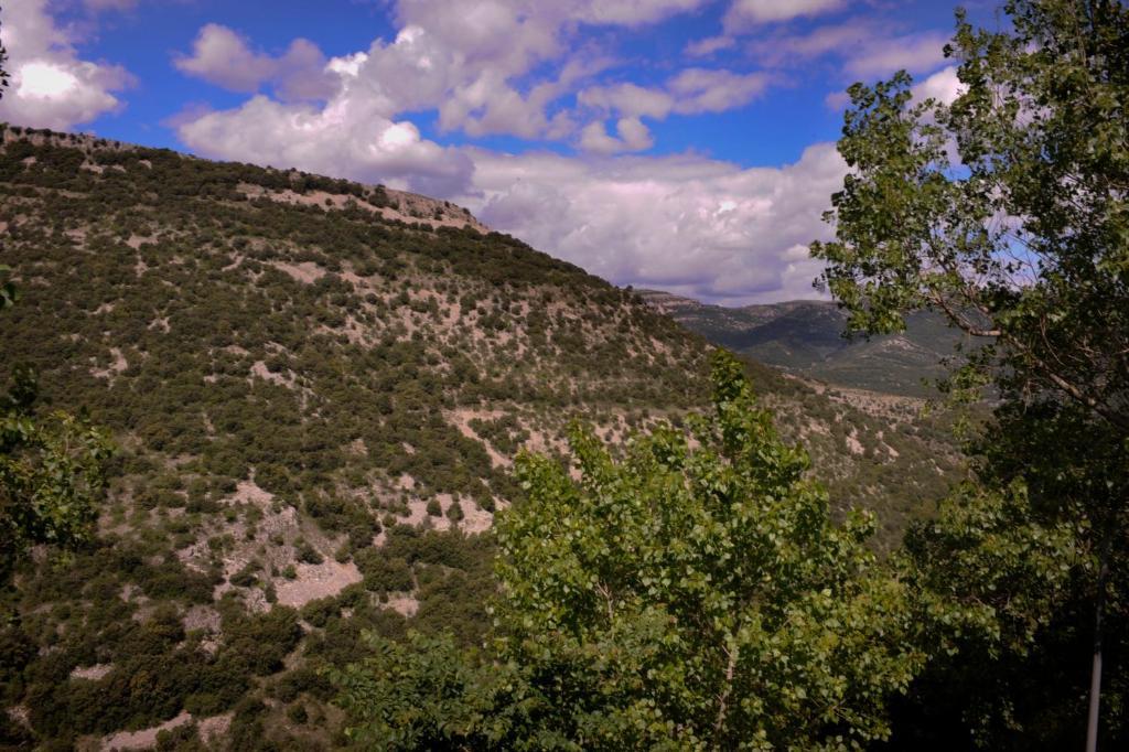 Catí Complejo Rural La Glorieta 아파트 객실 사진